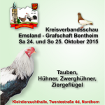 2015-10-24 KV Emsland - Grafschaft Bentheim s